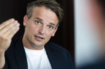 SAP CEO: the AI race is being fought in the wrong place 
